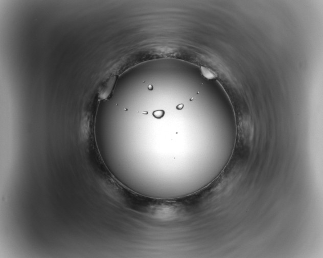 X0000098110412200804111059