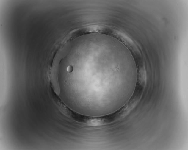X0000098110413200804111059