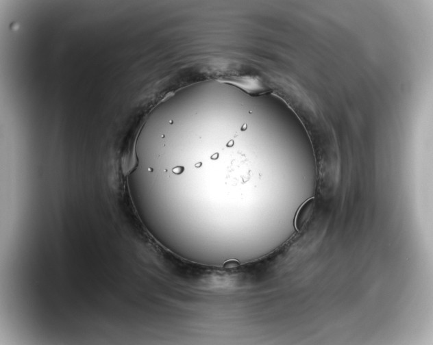 X0000098110416200804111059
