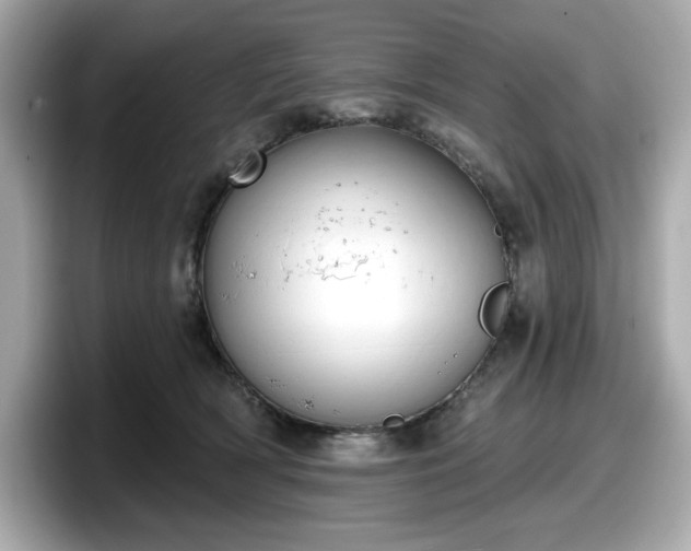 X0000098110418200804111059