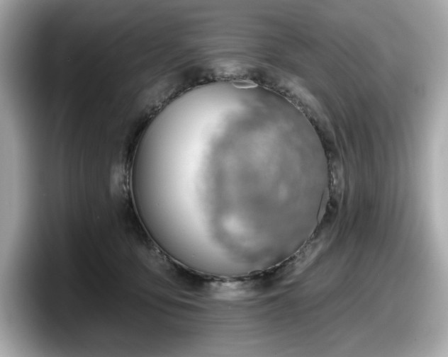 X0000098110419200804111059