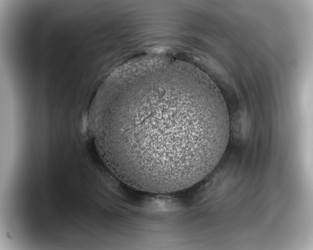X0000098110420200804111059