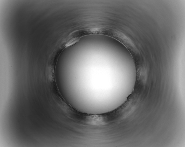 X0000098110421200804111059