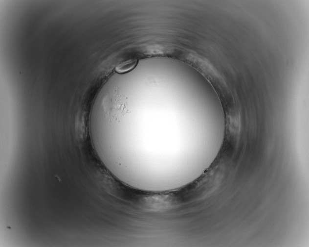 X0000098110422200804111059