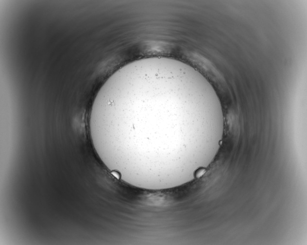 X0000098110423200804111059