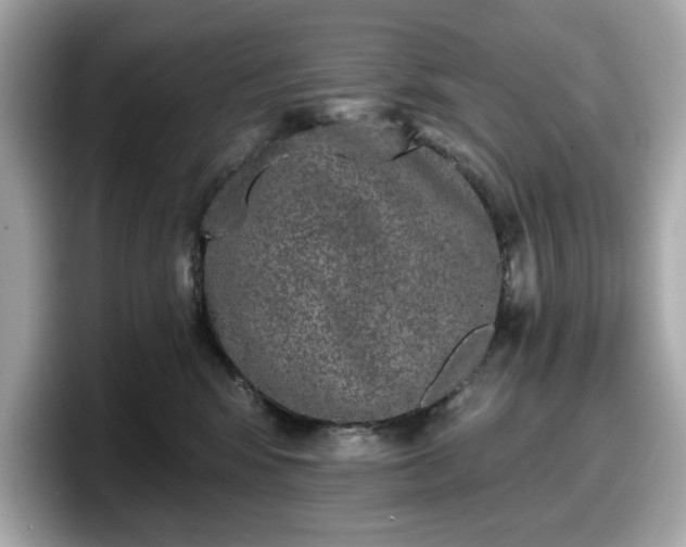 X0000098110424200804111059