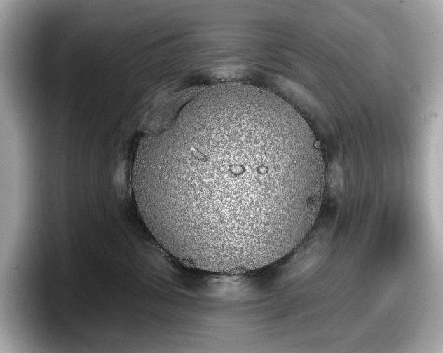 X0000098110428200804111059