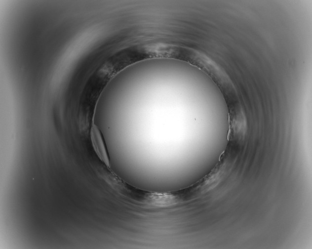 X0000098110429200804111059