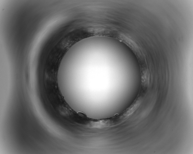 X0000098110430200804111059