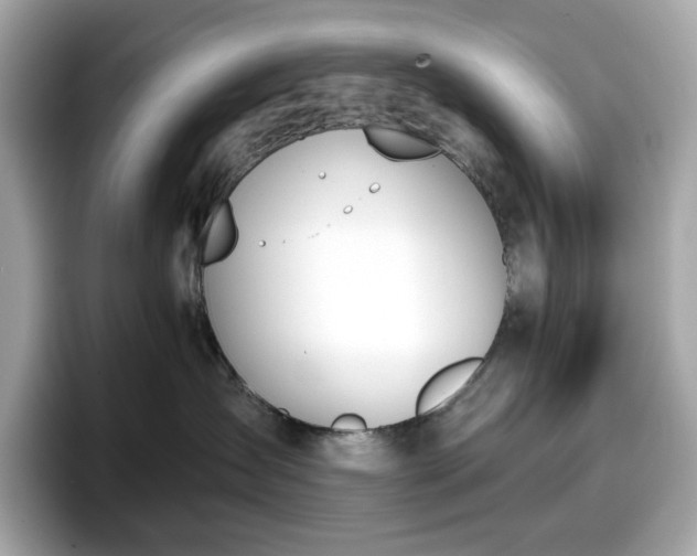 X0000098110431200804111059