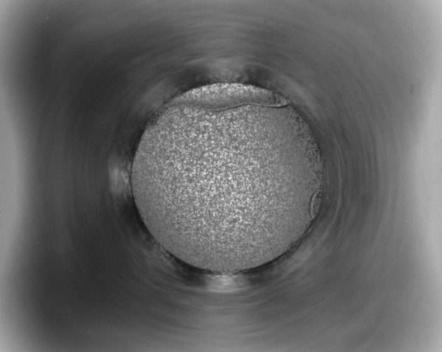 X0000098110432200804111059