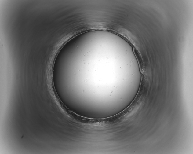 X0000098110433200804111058