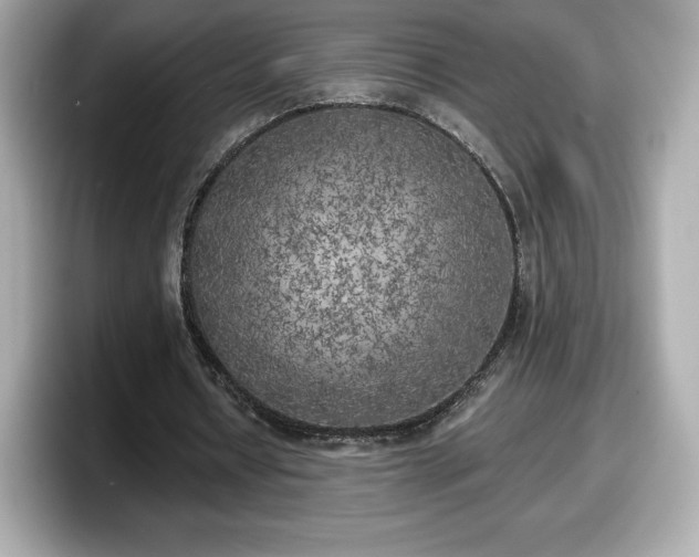 X0000098110434200804111058