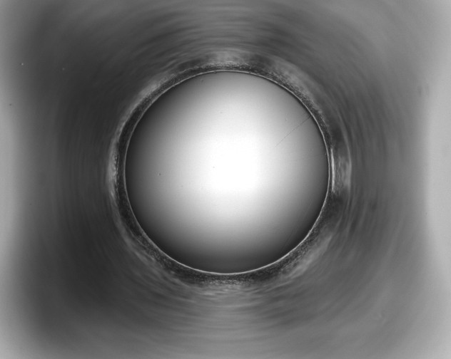 X0000098110435200804111058