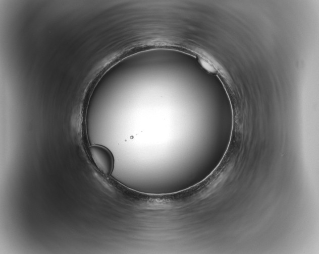 X0000098110437200804111058