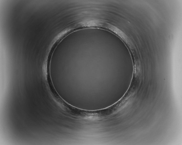 X0000098110438200804111058