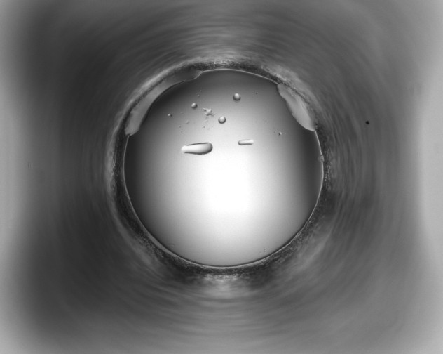 X0000098110440200804111058