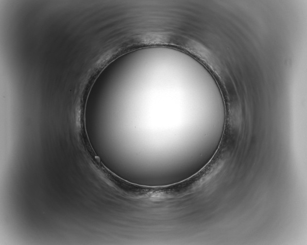 X0000098110441200804111058