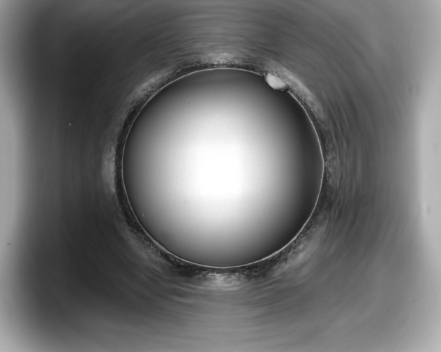 X0000098110442200804111058
