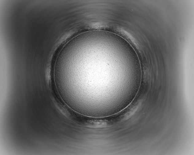 X0000098110443200804111058