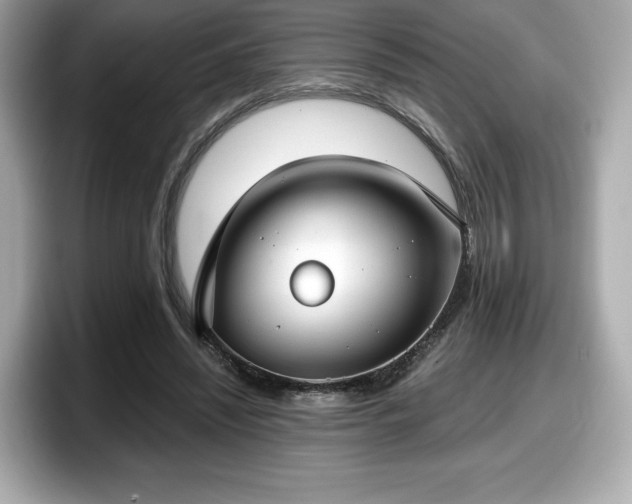 X0000098110444200804111058