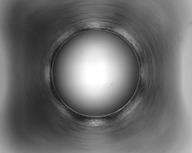 X0000098110445200804111058
