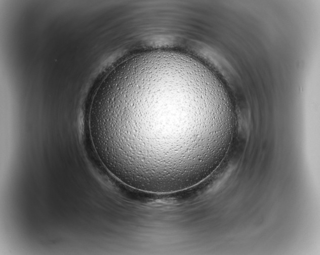 X0000098110447200804111058