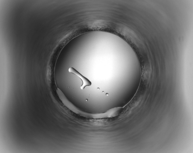 X0000098110448200804111058