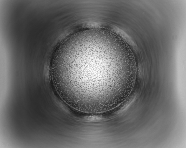 X0000098110449200804111058