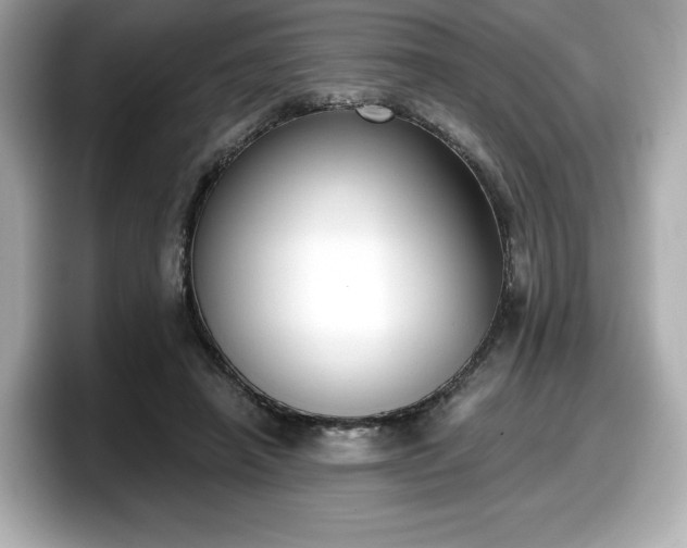 X0000098110450200804111058