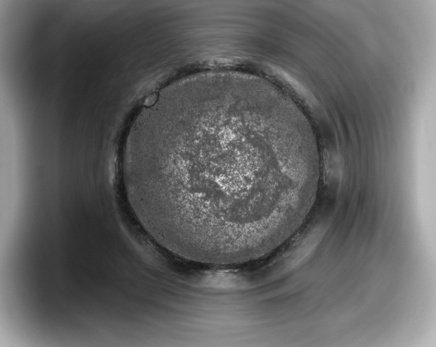 X0000098110451200804111058