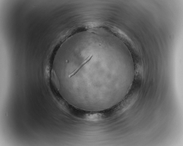 X0000098110452200804111058