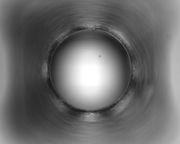 X0000098110453200804111058
