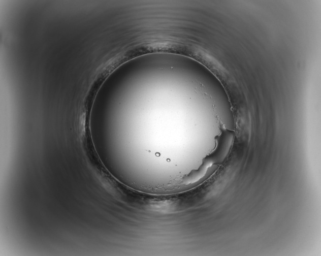 X0000098110454200804111058