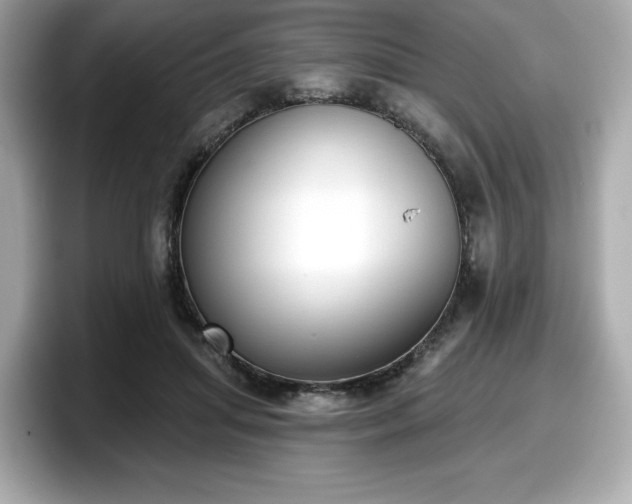 X0000098110455200804111058