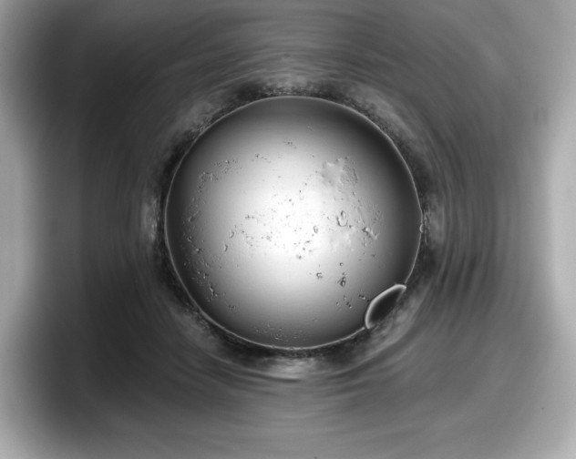 X0000098110458200804111058