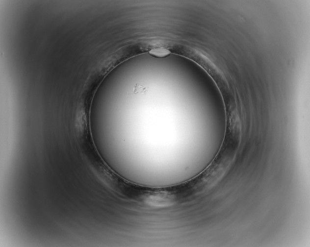 X0000098110459200804111058