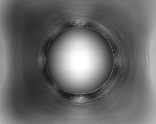 X0000098110460200804111058