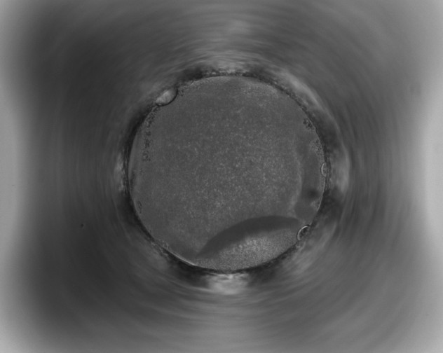 X0000098110465200804111059