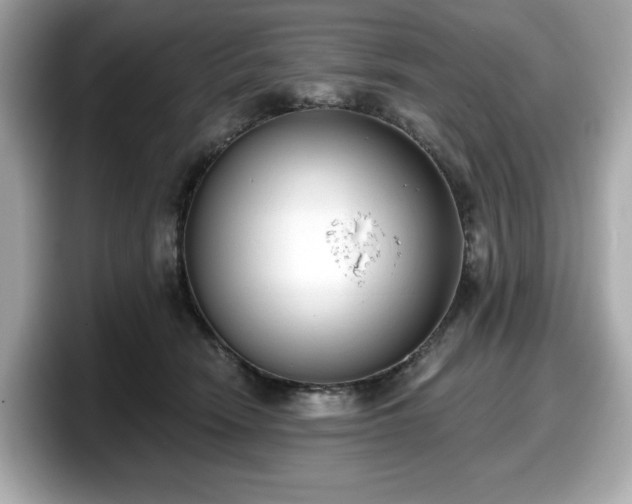 X0000098110466200804111059