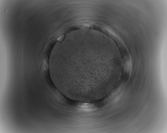 X0000098110467200804111059