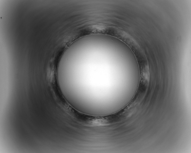 X0000098110468200804111059