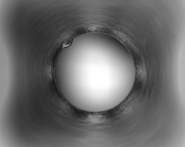 X0000098110470200804111059