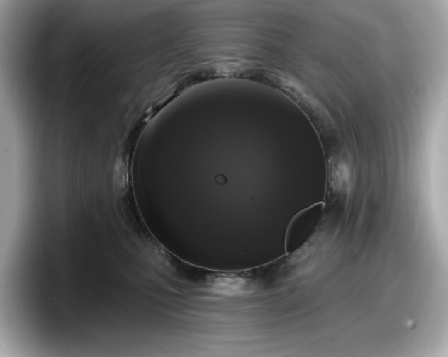 X0000098110471200804111059