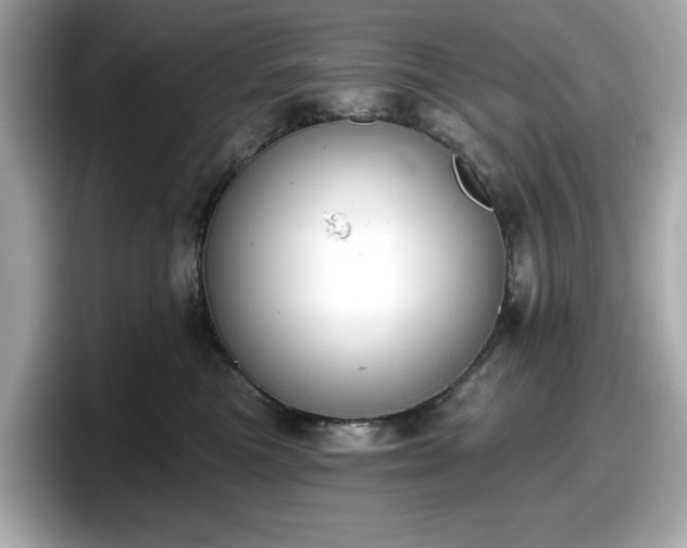 X0000098110473200804111059