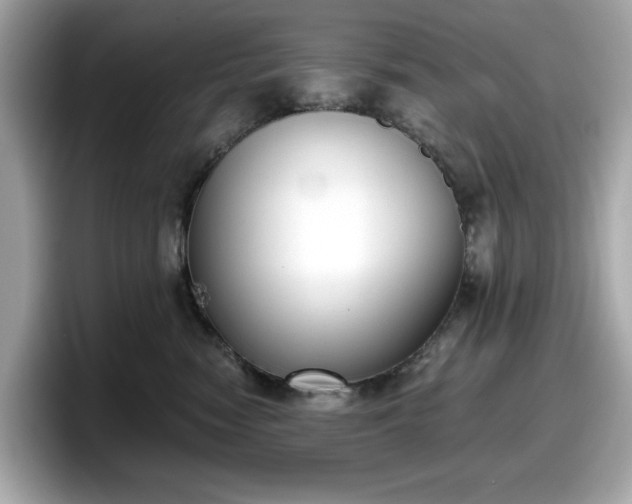 X0000098110474200804111059