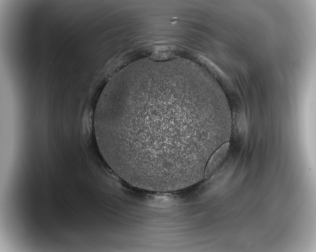 X0000098110475200804111059