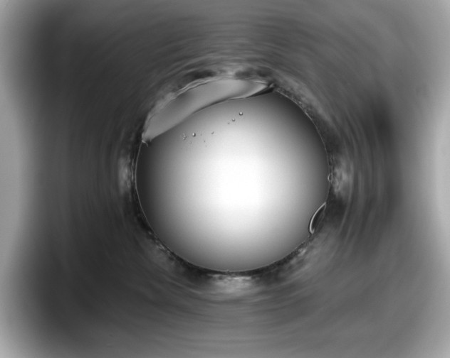 X0000098110476200804111059