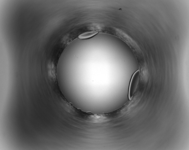 X0000098110477200804111059