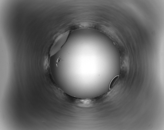 X0000098110478200804111059
